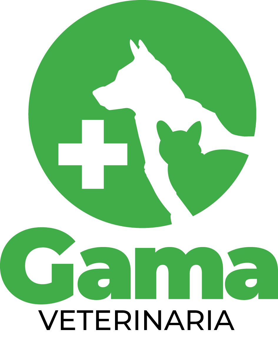 GAMA Veterinaria